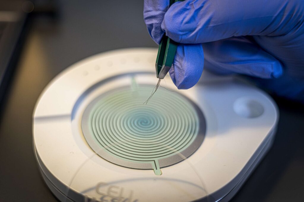 Cell Wellbeing – epigenetisk indsigt i kroppens regulering